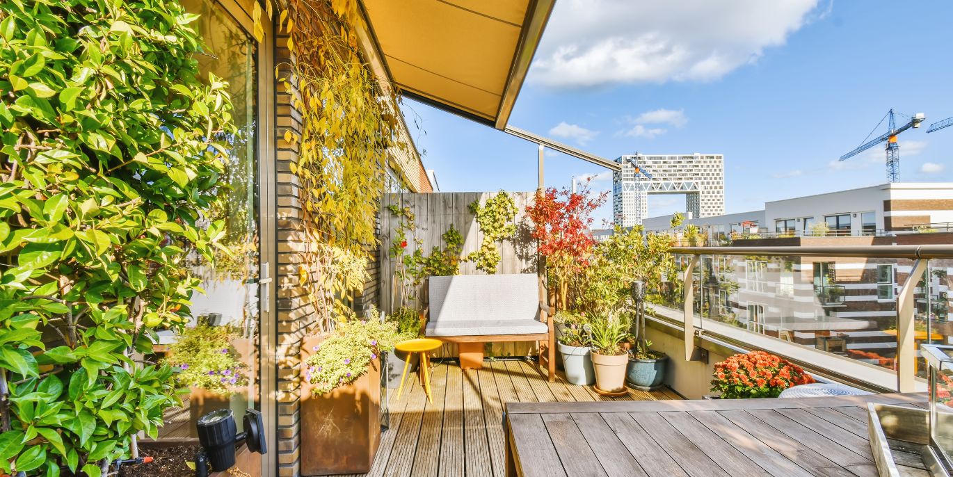 Pflanzen auf einer Dachterrasse